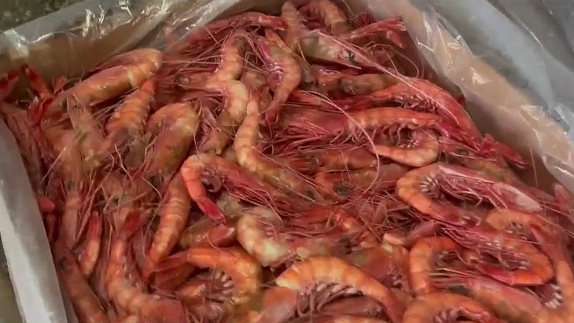 Florida shrimpers look favorably on tariffs